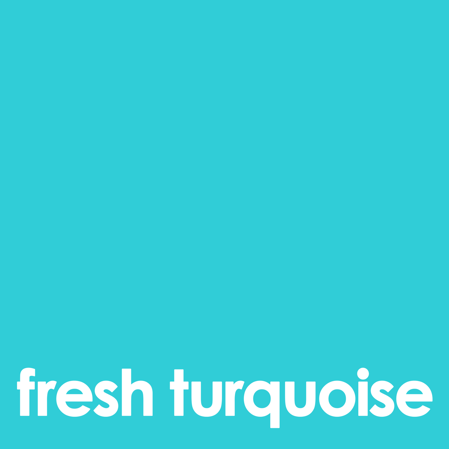 Fresh Turquoise | MakeUp Eraser PRO